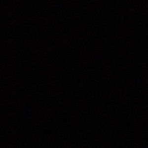 Meet your Posher, Bryce